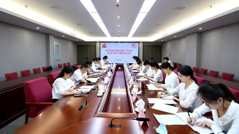 尊龙凯时集团党委书记、董事长任丁参加总部第一党支部党史学习教育专题组织生活会