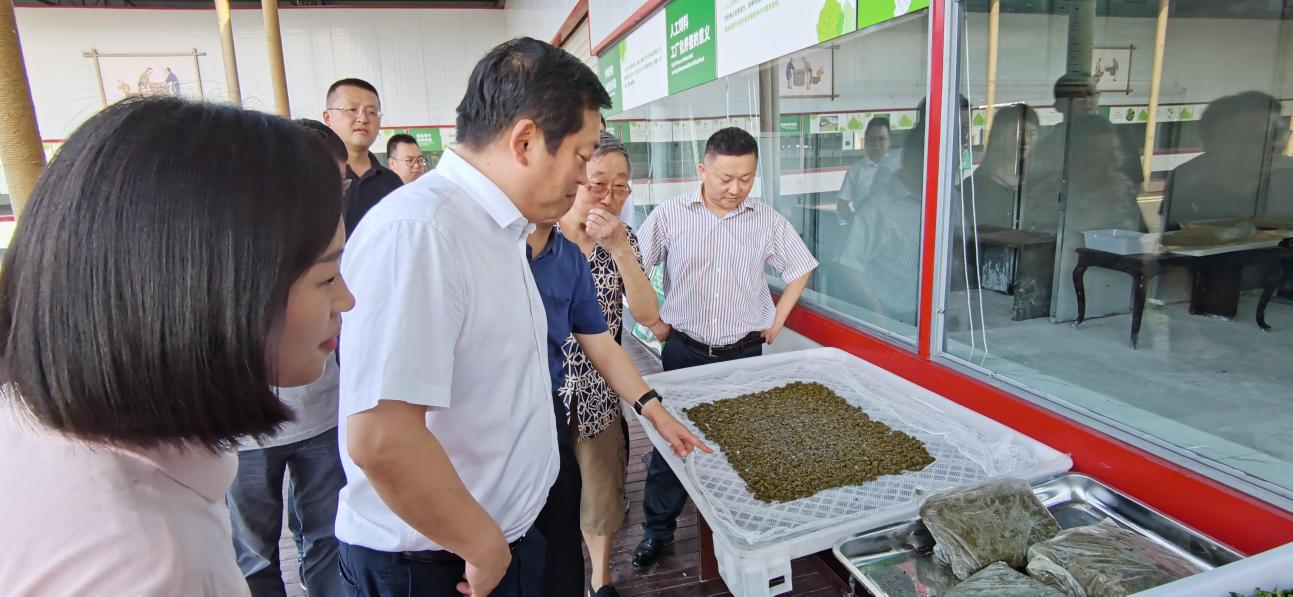 省尊龙凯时集团党委副书记、董事陈日赴嘉陵区调研茶桑产业发展情况